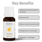 Aroma Treasures Fennel Seed Pure Essential Oil | Grocsy
