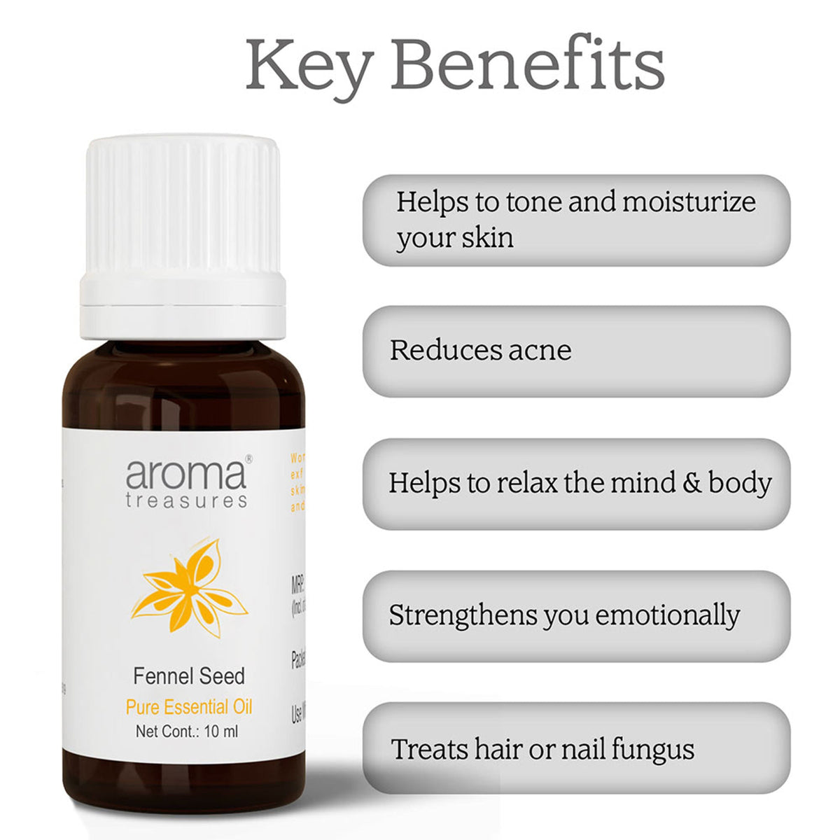 Aroma Treasures Fennel Seed Pure Essential Oil | Grocsy
