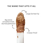 Shopaarel True Color Concealer - Golden Fair 22 N | Grocsy