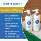 The Moms Co Natural Protein Hair Care Bundle | Grocsy