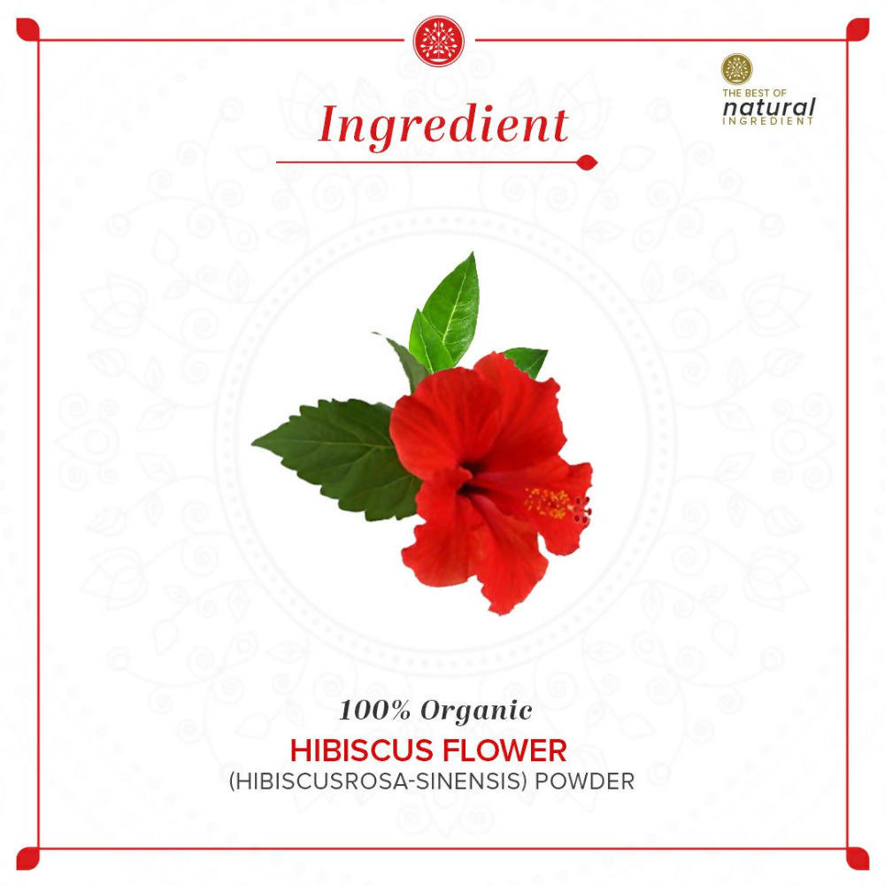 Khadi Natural Organic Hibiscus Flower Powder | Grocsy