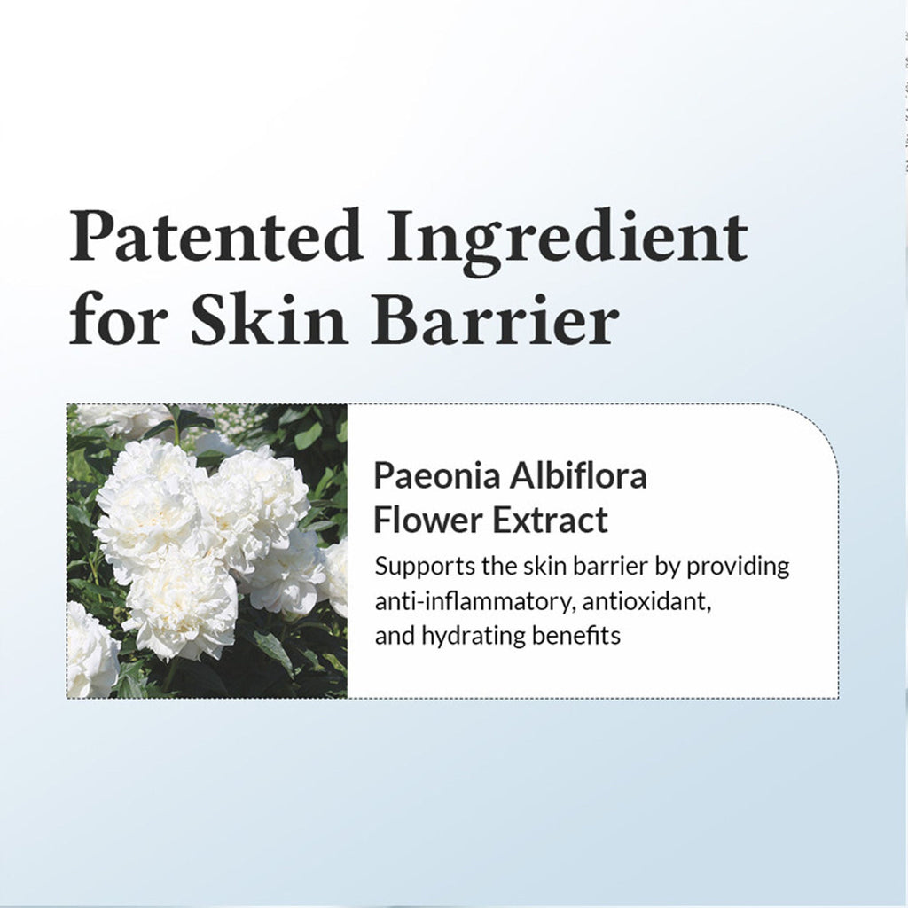 Dr.Althea 147 Barrier Cream: Rich Ceramide & hyaluronic acid infused cream for Damaged Skin Barrier | Grocsy