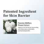 Dr.Althea 147 Barrier Cream: Rich Ceramide & hyaluronic acid infused cream for Damaged Skin Barrier | Grocsy