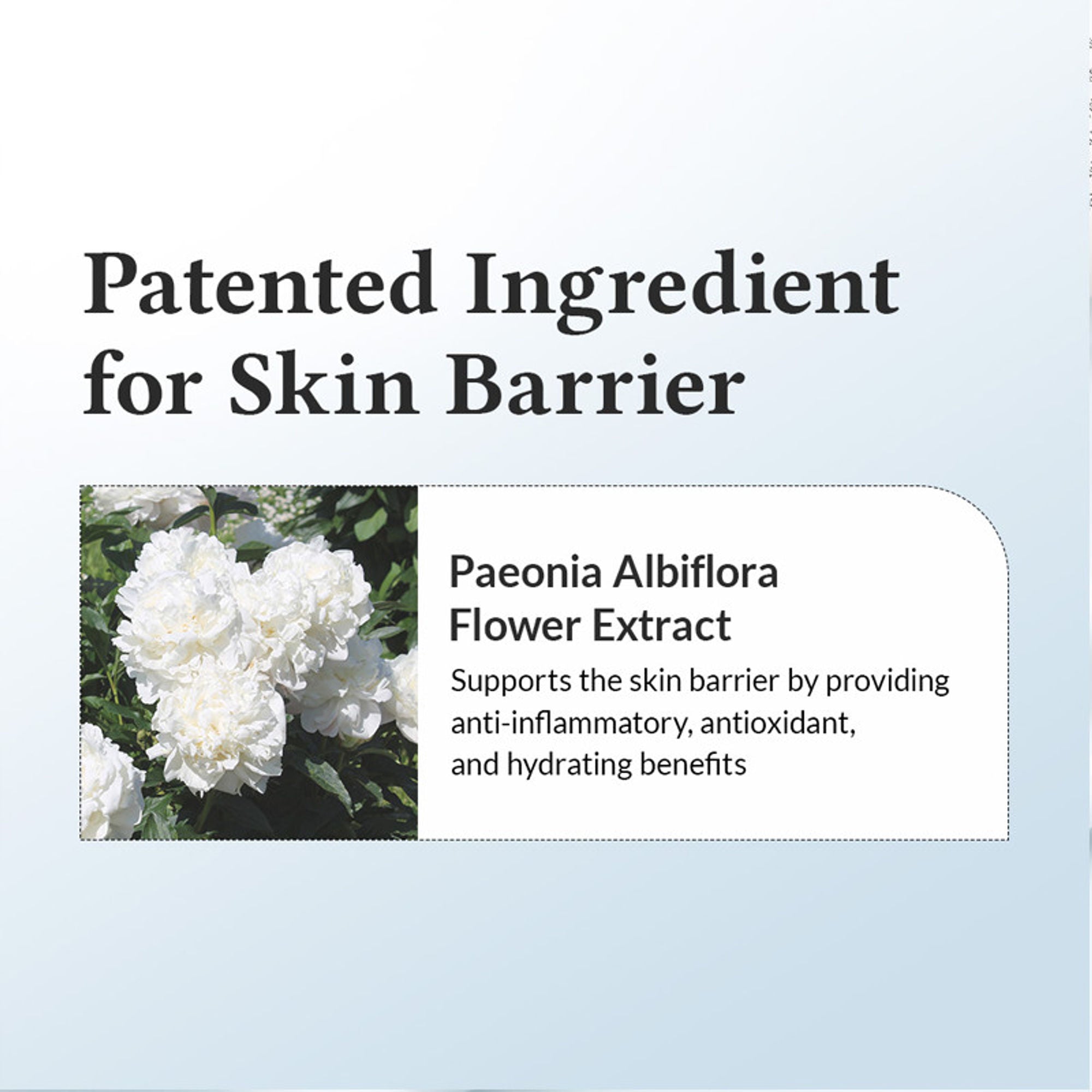 Dr.Althea 147 Barrier Cream: Rich Ceramide & hyaluronic acid infused cream for Damaged Skin Barrier | Grocsy