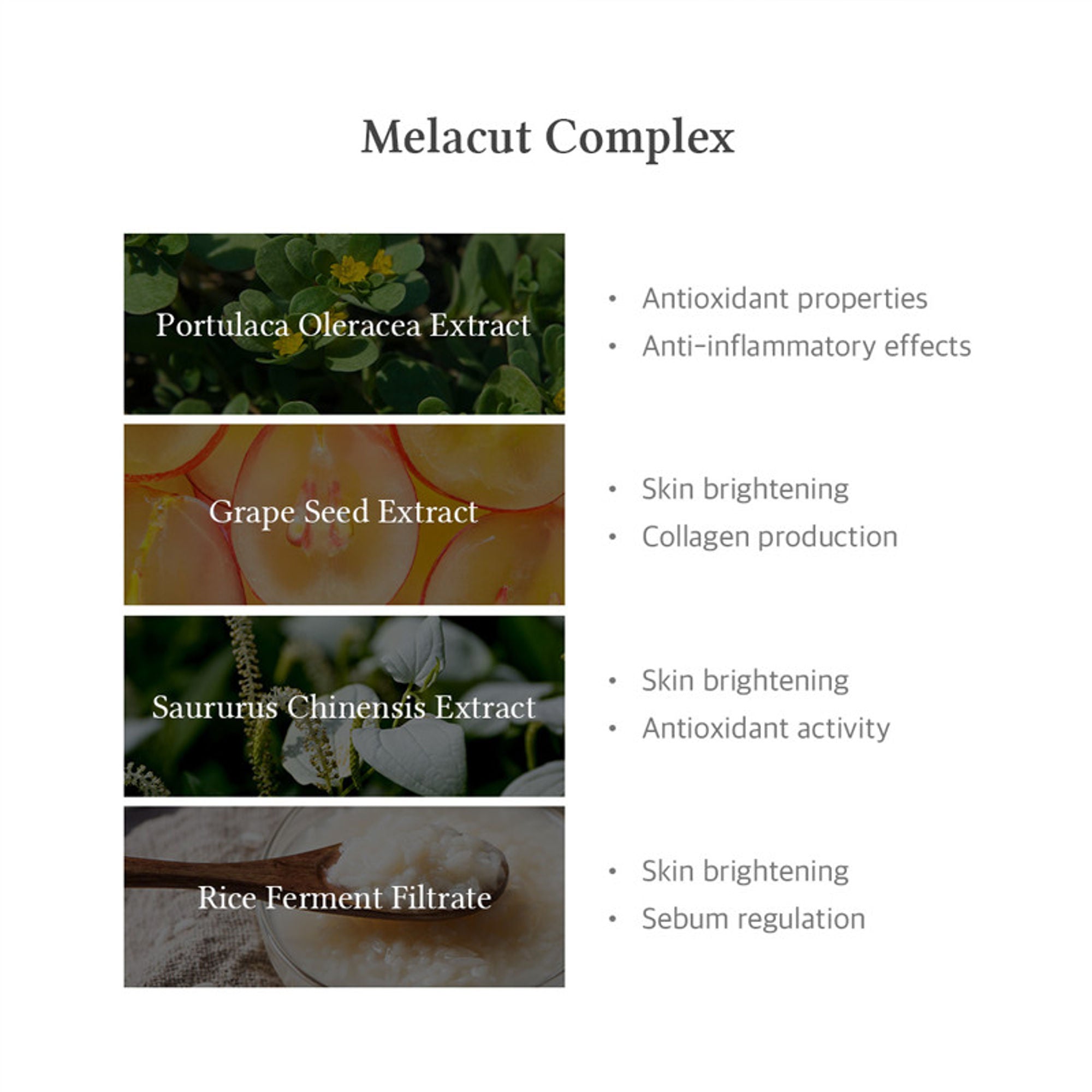 Dr.Althea 15% Niacinamide Purity Serum: High-Potency Serum for Oil Control & Pores | Grocsy