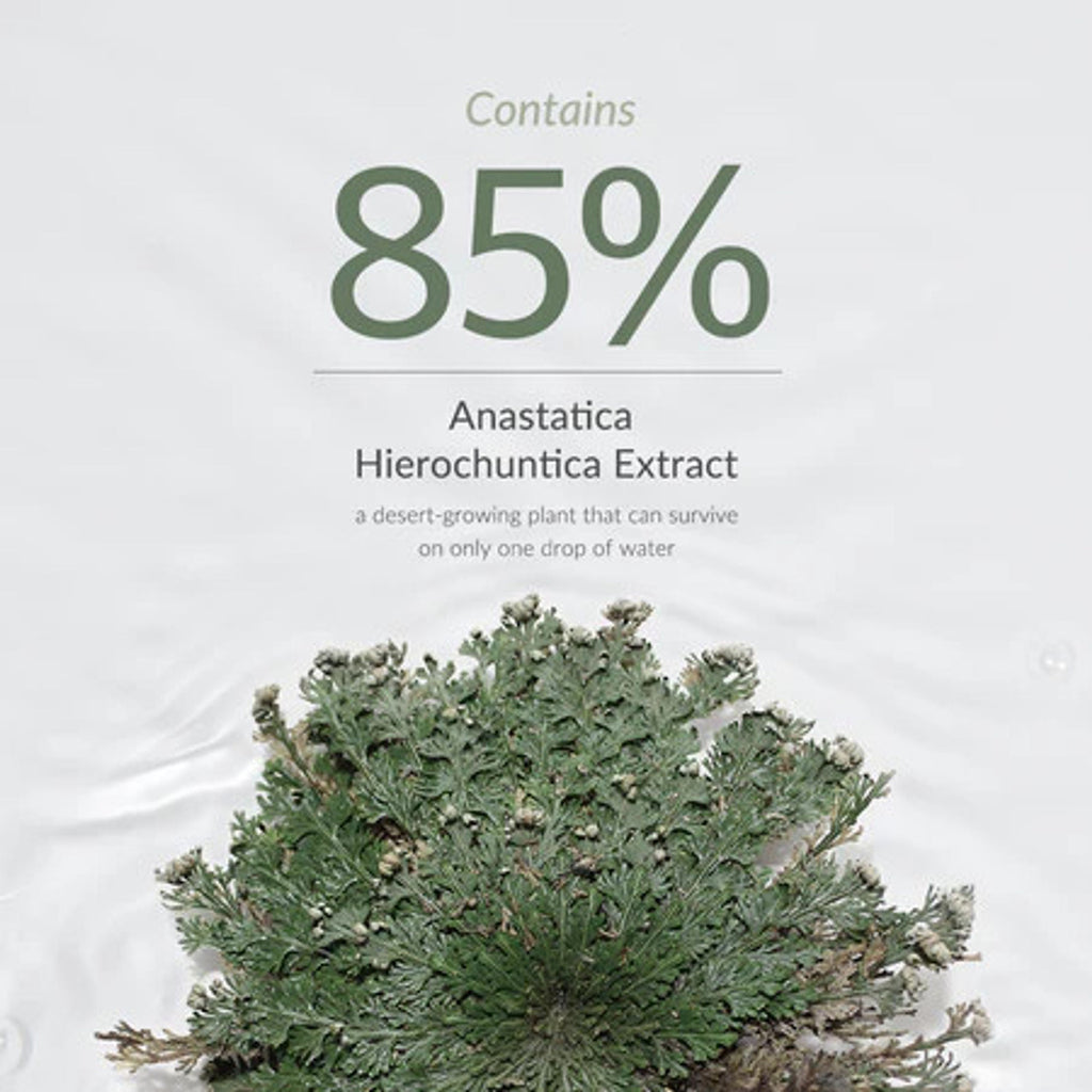 Dr.Althea Resurrection Plant Conditioning Toner: Hydrating & Skin Barrier Repair Toner | Grocsy