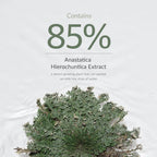 Dr.Althea Resurrection Plant Conditioning Toner: Hydrating & Skin Barrier Repair Toner | Grocsy