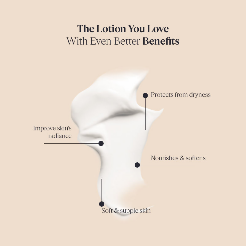 L'Occitane Shea Butter Hands & Body Extra-gentle Lotion | Grocsy