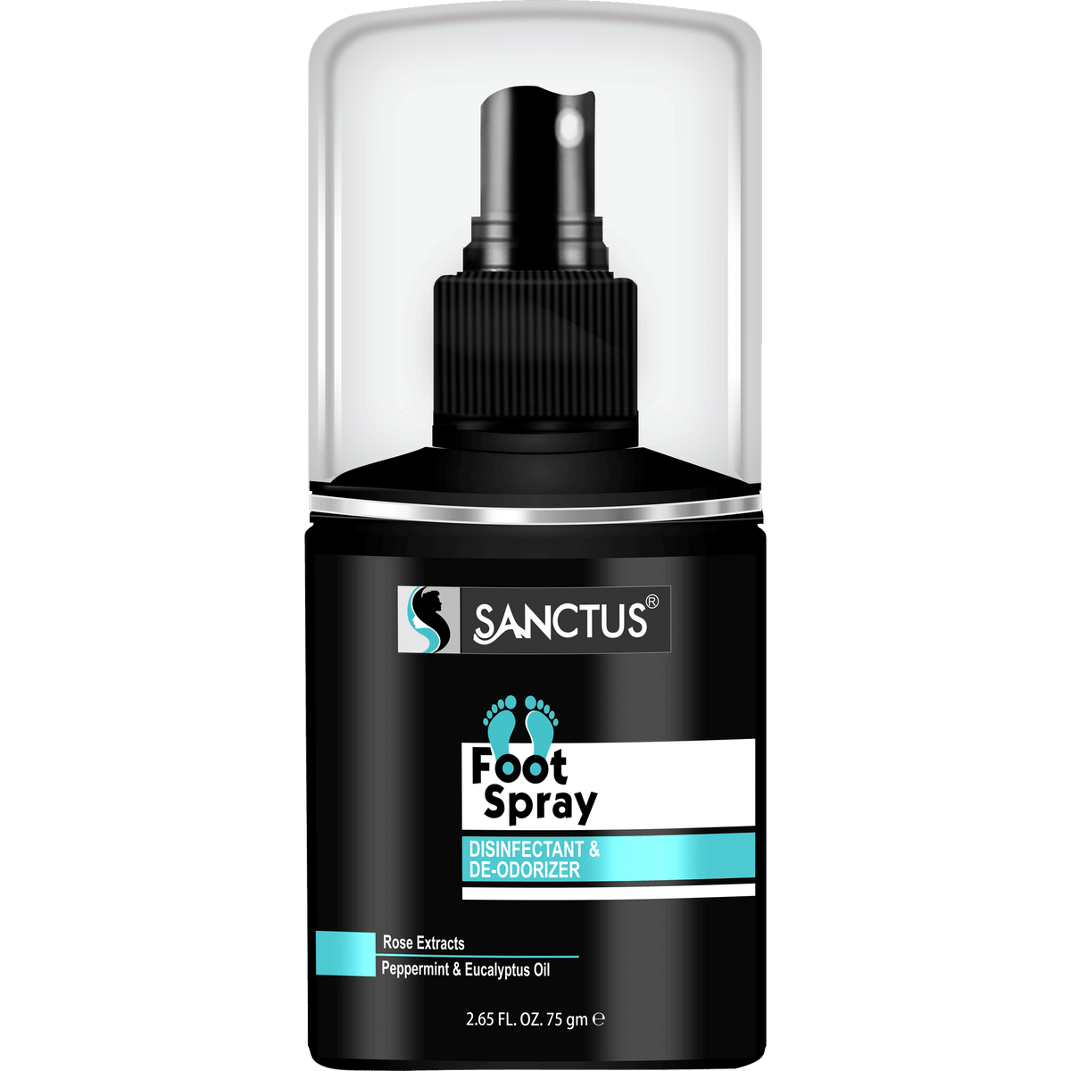 SANCTUS Disinfectant & Deodorizer Foot Spray | Grocsy