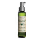 L'Occitane Body & Strength Scalp Essence | Grocsy