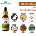 Nature Glow Herbal Cedarwood Essential Oil | Grocsy