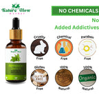 Nature Glow Herbal Peppermint Essential Oil | Grocsy