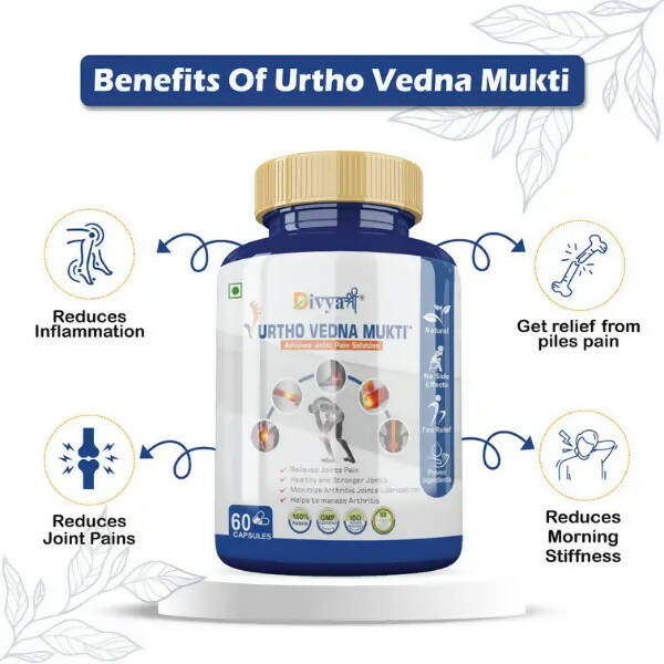 Divya Shree Urtho Vedna Mukti Capsules | Grocsy