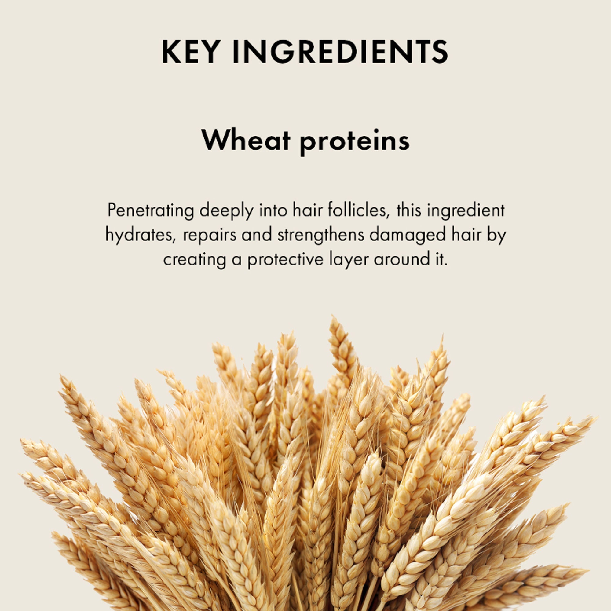 Naturica Volumizing Experience Conditioner for Fine Hair, Restore Softness with Wheat Germ Protein | Grocsy