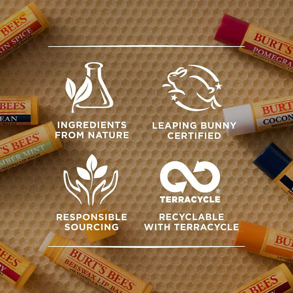 Burt's Bees Beeswax Lip Balm With Vitamin E & Peppermint | Grocsy