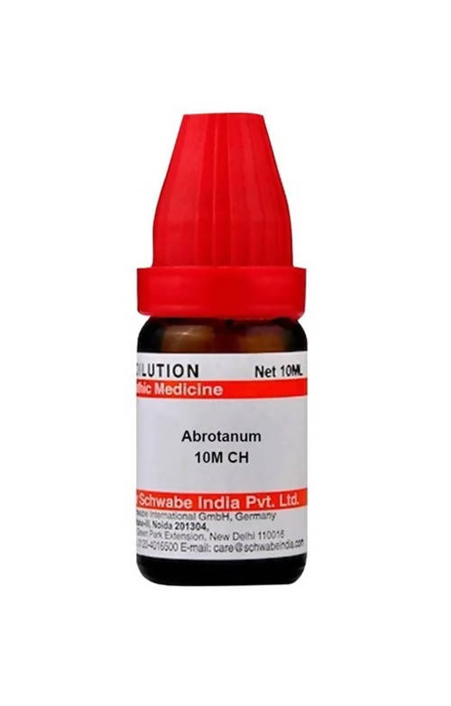 Dr. Willmar Schwabe India Abrotanum Dilution | Grocsy