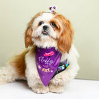 Waggety Dog Bandana - Fluffy Not Fat, Design Soft Fabric, Stylish Pet Accessory for Dogs - Purple | Grocsy