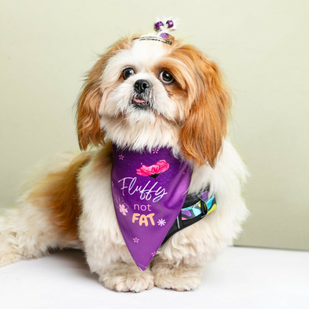 Waggety Dog Bandana - Fluffy Not Fat, Design Soft Fabric, Stylish Pet Accessory for Dogs - Purple | Grocsy
