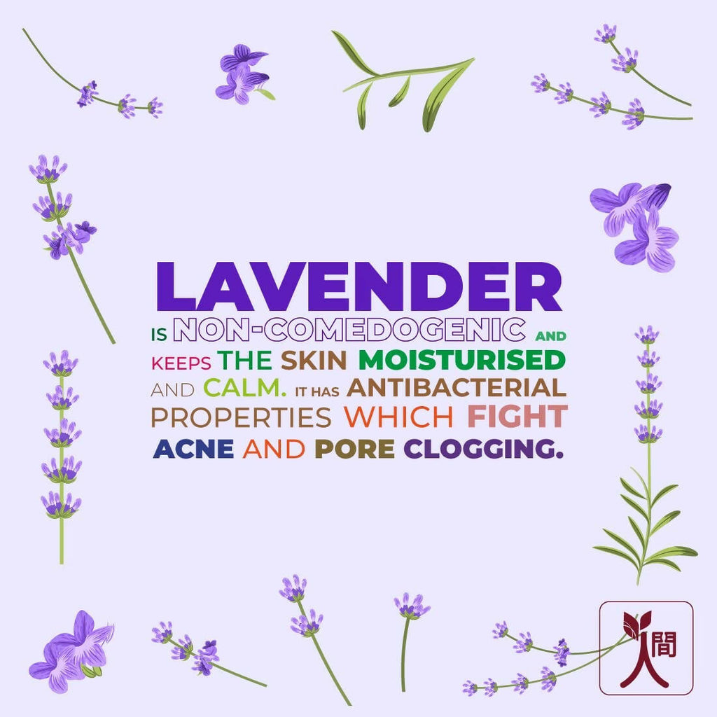 Ningen Lavender Body Wash Gel | Grocsy