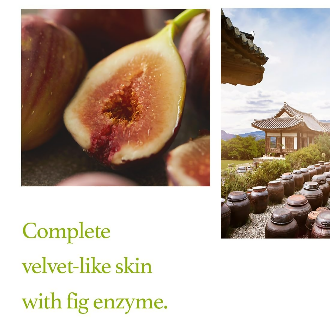 I'm From Fig Scrub Mask | Grocsy