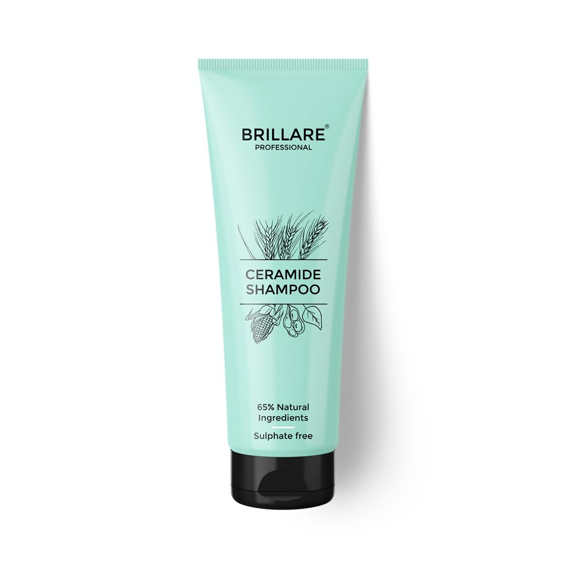 Brillare Ceramide Shampoo | Grocsy