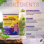 Babyorgano Herbal Chocovita Ayurvedic Milk Mix | Grocsy