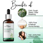 Aravi Organic Nilgiri Eucalyptus Essential Oil | Grocsy