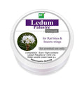 Bio India Homeopathy Ledum Palustre Ointment | Grocsy