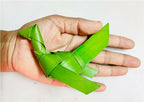Shuddh Natural Hand Made Palm Leaf Parrot Hanging | Grocsy