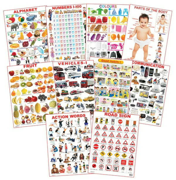 Dreamland Educational Charts - Combo 4 (10 Charts) : Children Early Learning Laminated Chart | Grocsy