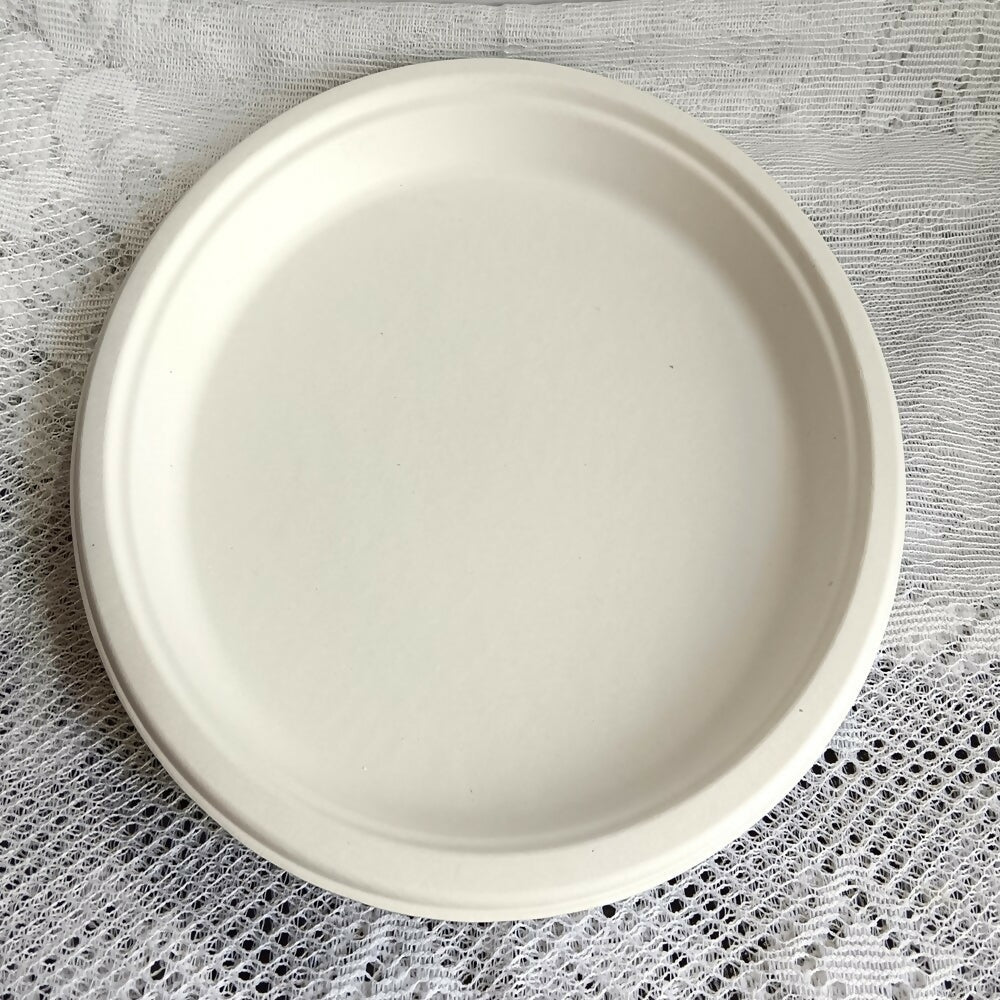 Disposable Round Plane Plates Big | Grocsy