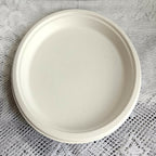 Disposable Round Plane Plates Big | Grocsy