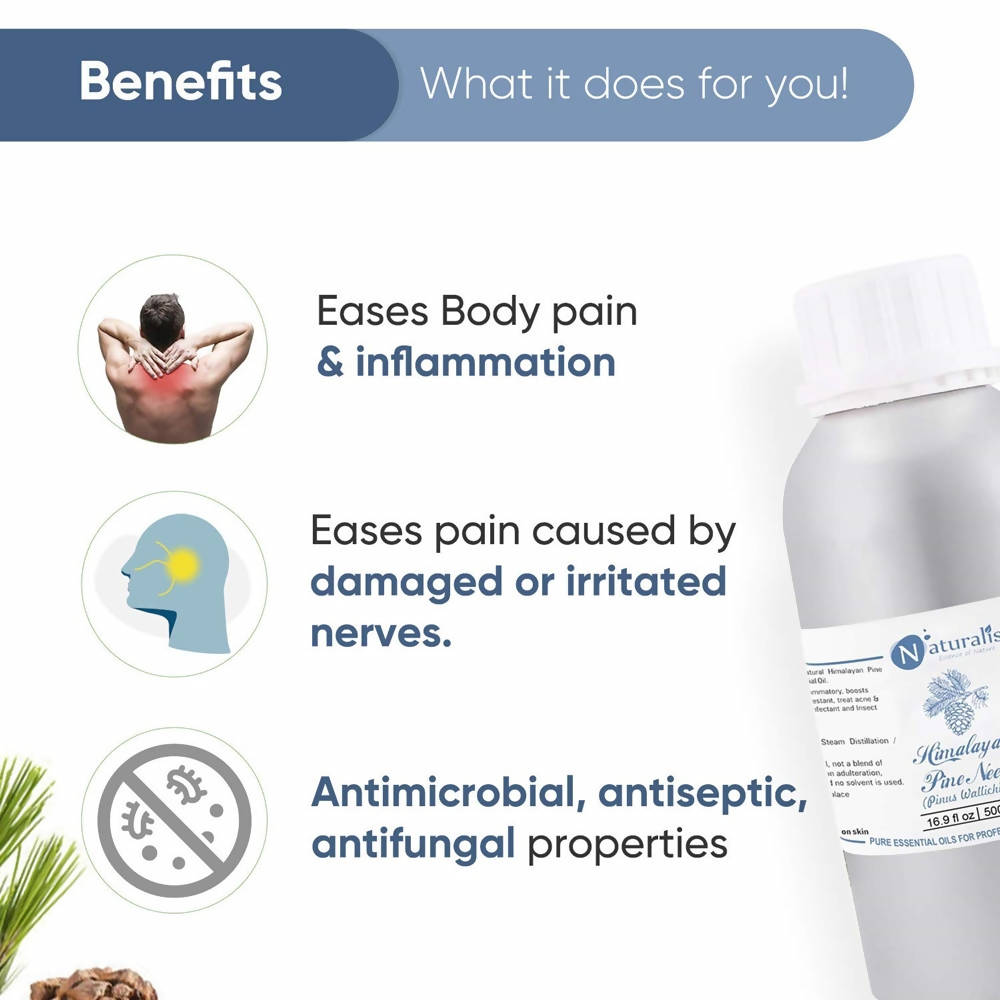 Naturalis Essence Himalayan Pine Needle Essential Oil | Grocsy