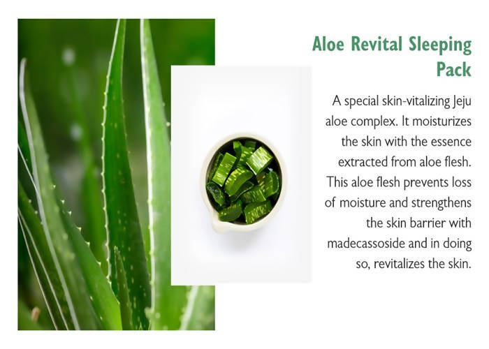 Innisfree Aloe Revital Sleeping Pack | Grocsy