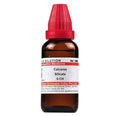 Dr. Willmar Schwabe India Calcarea Silicata Dilution | Grocsy
