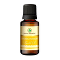 Korus Essential Evening Primrose Essential Oil - Therapeutic Grade | Grocsy