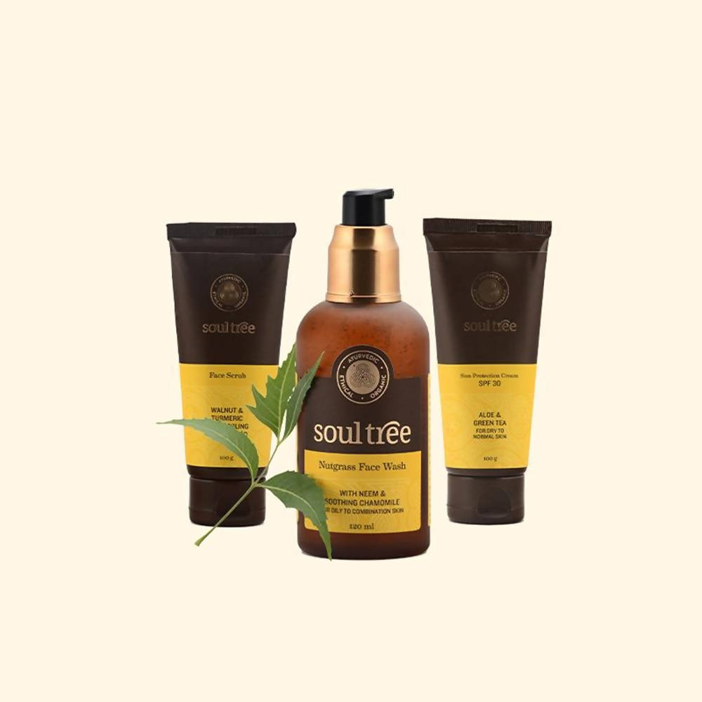 Soultree 3 - Step Skin Care Regimen For Men | Grocsy
