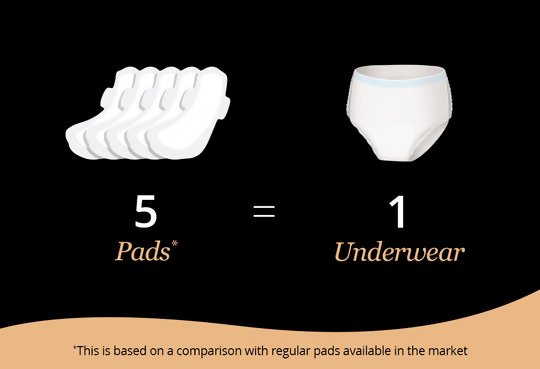 Carmesi Disposable Period Panties | Grocsy