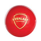 SG Everlast Leather Cricket Ball - Red
