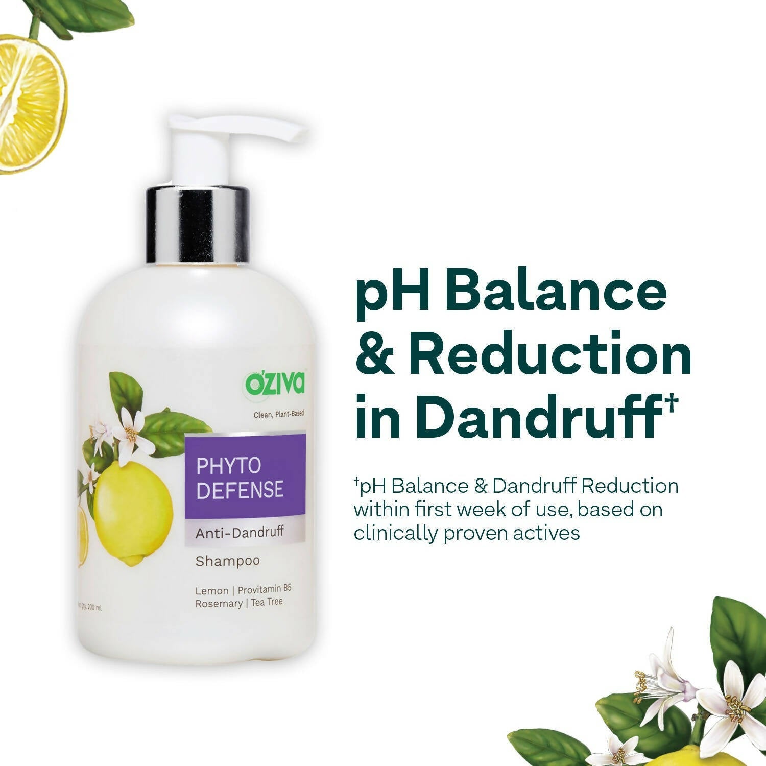 OZiva Phyto Cleanse Anti-Dandruff Shampoo | Grocsy