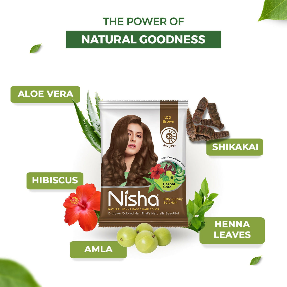Nisha Henna Based Hair Colour for Women & Men Brown 4.0 (Pack of 10) | Grocsy