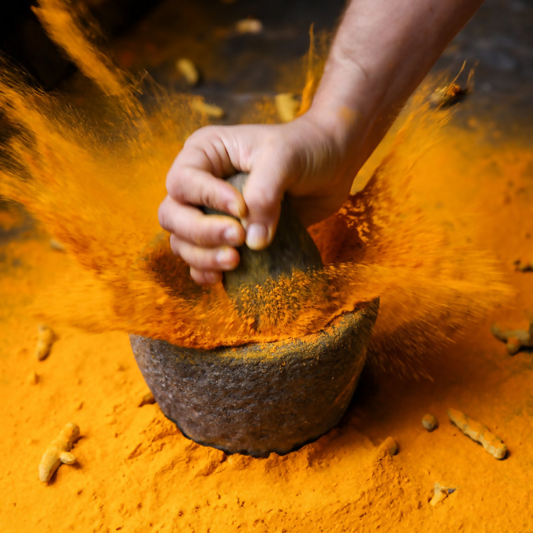Priya Turmeric (Haldi) Powder | Grocsy