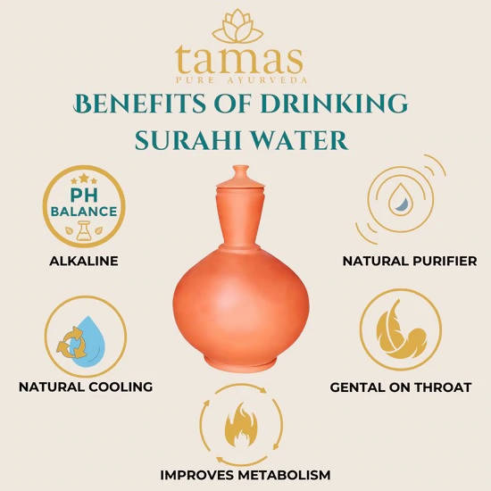 Tamas Handmade & Eco-Friendly Earthen Surahi With Clay Lid | Grocsy