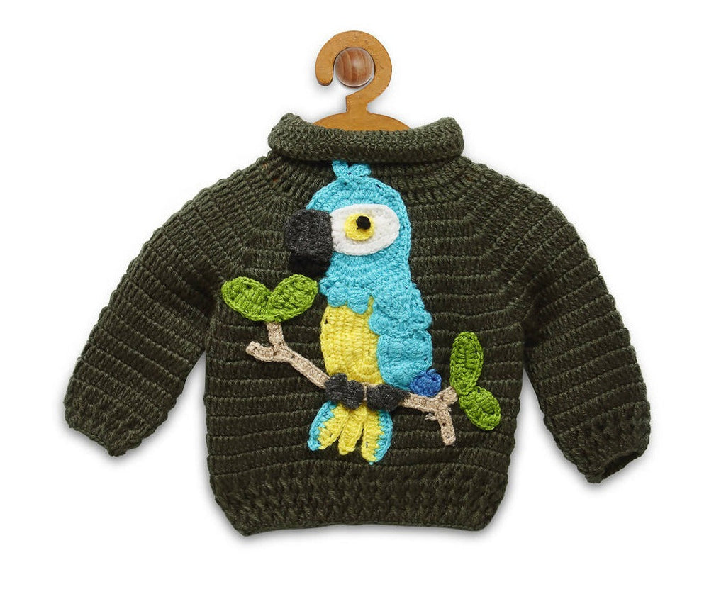 Chutput Kids Green Parrot Design Solid Pullover Sweater | Grocsy