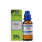 SBL Homeopathy Epiphegus Virginiana Dilution | Grocsy