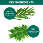 Nykaa Naturals Tea Tree & Neem Purifying Face Wash for Acne | Grocsy