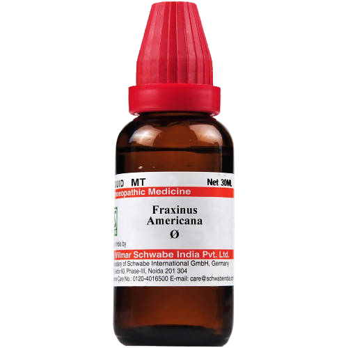 Dr. Willmar Schwabe India Fraxinus Americana Mother Tincture | Grocsy