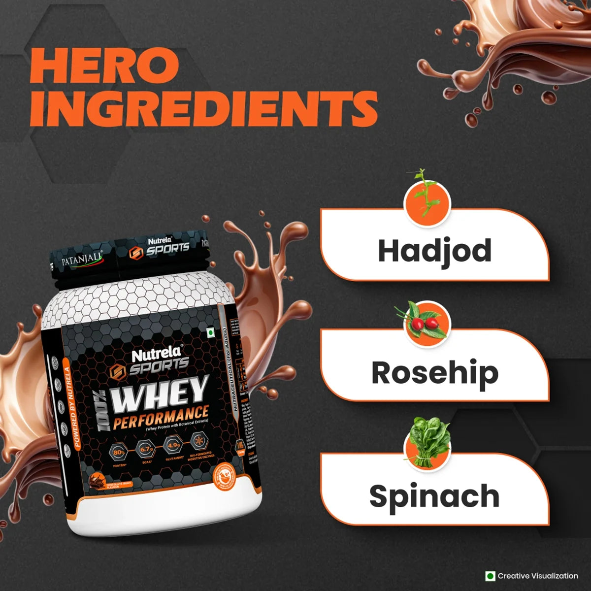 Patanjali Nutrela Sports Whey Performance (Choc-irish) | Grocsy
