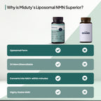 Miduty by Palak Notes Liposomal Glutathione 85% Capsules | Grocsy