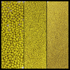 Confect Sprinkles for Cakes & Cupcakes Decoration | USP-13(Lime Green) | Grocsy